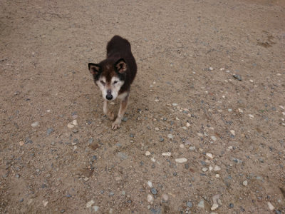 f:id:roukenhome-ann:20190611192941j:plain f:id:roukenhome-ann:20190611192941j:plain