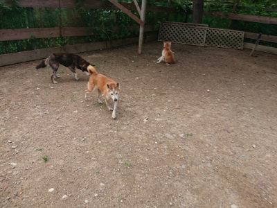 f:id:roukenhome-ann:20190611193020j:plain f:id:roukenhome-ann:20190611193020j:plain
