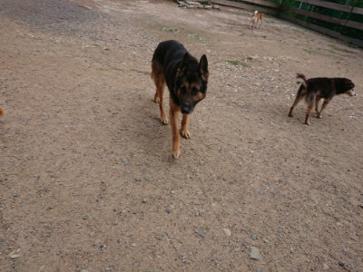 f:id:roukenhome-ann:20190611193151j:plain f:id:roukenhome-ann:20190611193151j:plain