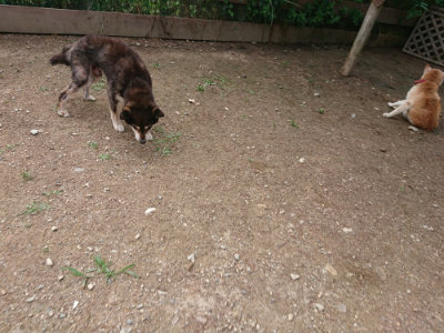f:id:roukenhome-ann:20190611193230j:plain f:id:roukenhome-ann:20190611193230j:plain