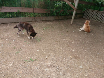 f:id:roukenhome-ann:20190611193256j:plain f:id:roukenhome-ann:20190611193256j:plain
