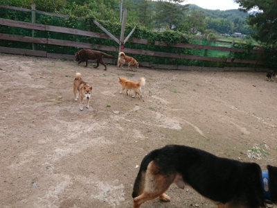 f:id:roukenhome-ann:20190611193309j:plain f:id:roukenhome-ann:20190611193309j:plain