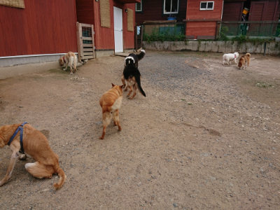 f:id:roukenhome-ann:20190611193325j:plain f:id:roukenhome-ann:20190611193325j:plain