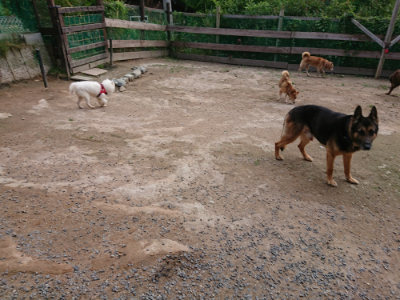 f:id:roukenhome-ann:20190611193420j:plain f:id:roukenhome-ann:20190611193420j:plain