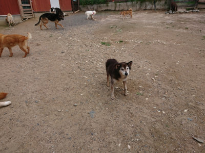 f:id:roukenhome-ann:20190611193441j:plain f:id:roukenhome-ann:20190611193441j:plain