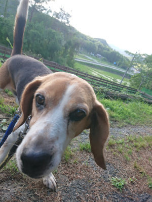 f:id:roukenhome-ann:20190612212223j:plain