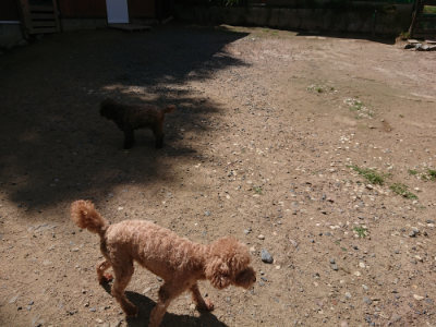 f:id:roukenhome-ann:20190613123038j:plain