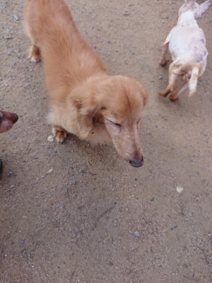 f:id:roukenhome-ann:20190613123218j:plain