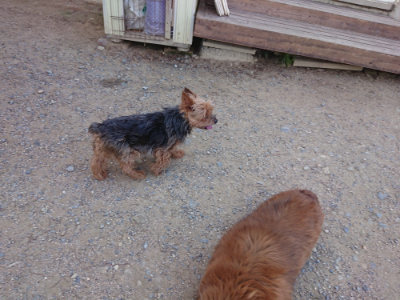 f:id:roukenhome-ann:20190613123442j:plain