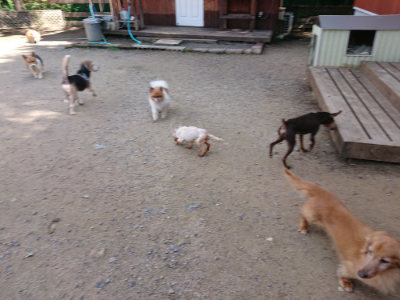 f:id:roukenhome-ann:20190613123455j:plain