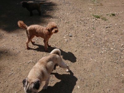 f:id:roukenhome-ann:20190613123514j:plain