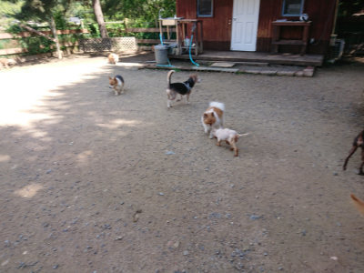 f:id:roukenhome-ann:20190613123522j:plain