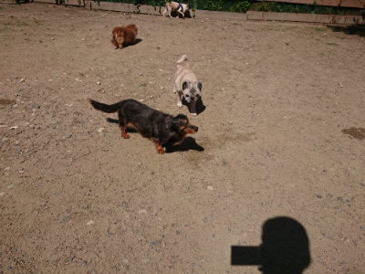 f:id:roukenhome-ann:20190613123531j:plain