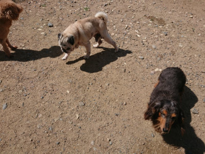 f:id:roukenhome-ann:20190613123536j:plain