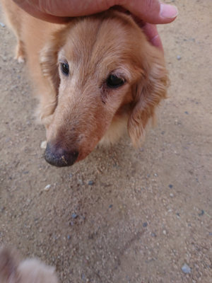 f:id:roukenhome-ann:20190613123541j:plain