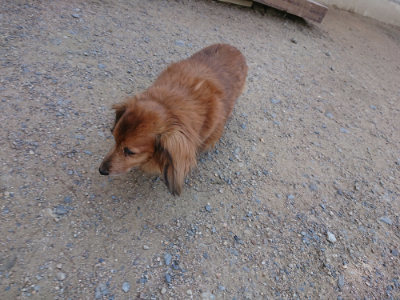 f:id:roukenhome-ann:20190613123605j:plain