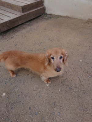 f:id:roukenhome-ann:20190613123609j:plain