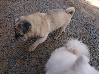 f:id:roukenhome-ann:20190613123705j:plain