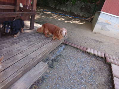 f:id:roukenhome-ann:20190613123737j:plain