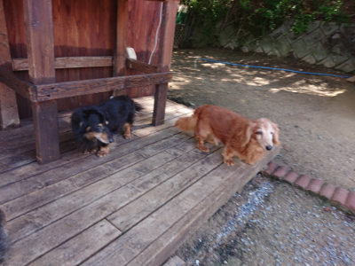 f:id:roukenhome-ann:20190613123742j:plain