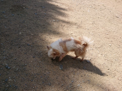 f:id:roukenhome-ann:20190613124010j:plain