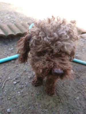 f:id:roukenhome-ann:20190613124014j:plain