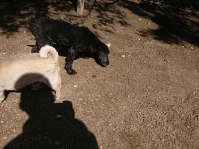 f:id:roukenhome-ann:20190613124107j:plain