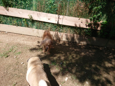 f:id:roukenhome-ann:20190613124121j:plain