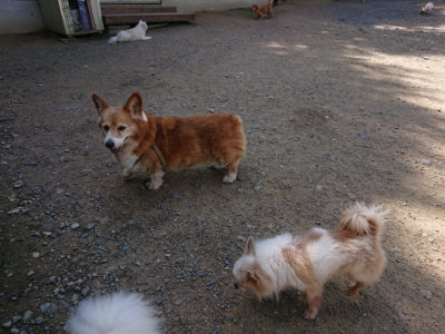 f:id:roukenhome-ann:20190613124130j:plain