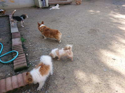 f:id:roukenhome-ann:20190613124139j:plain