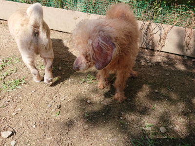 f:id:roukenhome-ann:20190613124207j:plain