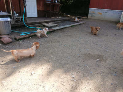 f:id:roukenhome-ann:20190613124220j:plain