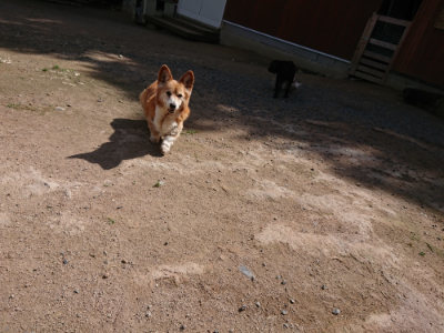 f:id:roukenhome-ann:20190613124524j:plain