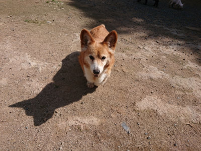 f:id:roukenhome-ann:20190613124528j:plain