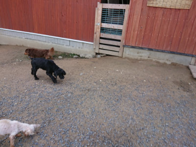 f:id:roukenhome-ann:20190613124611j:plain