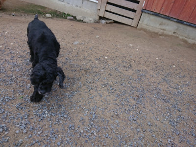 f:id:roukenhome-ann:20190613124622j:plain