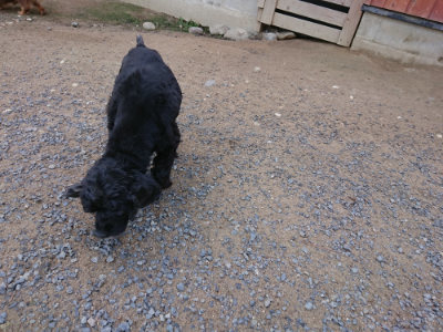 f:id:roukenhome-ann:20190613124626j:plain