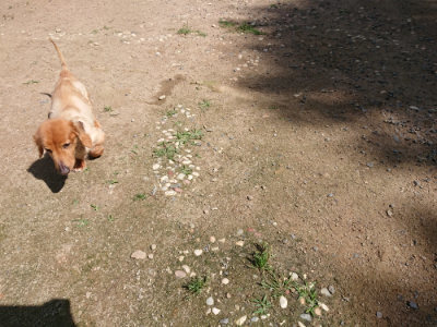 f:id:roukenhome-ann:20190613124631j:plain