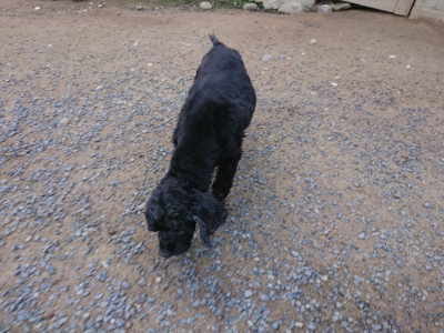 f:id:roukenhome-ann:20190613124645j:plain