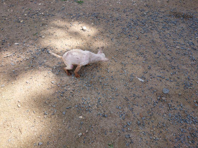 f:id:roukenhome-ann:20190613124650j:plain