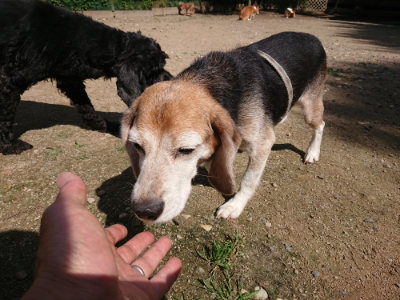 f:id:roukenhome-ann:20190613124708j:plain