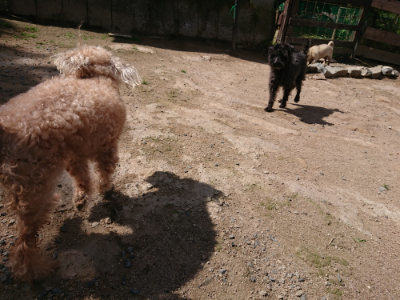 f:id:roukenhome-ann:20190613124801j:plain