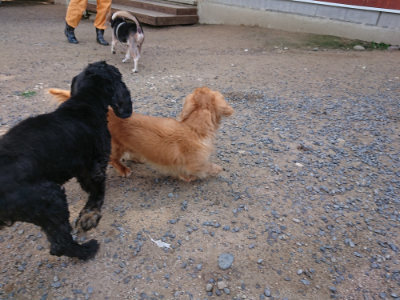 f:id:roukenhome-ann:20190613124937j:plain