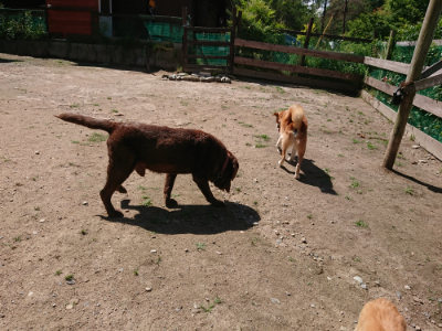 f:id:roukenhome-ann:20190613130228j:plain