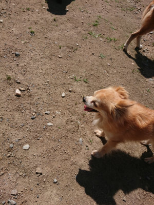 f:id:roukenhome-ann:20190613130233j:plain