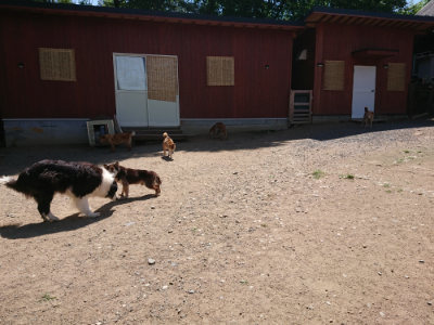 f:id:roukenhome-ann:20190613130243j:plain