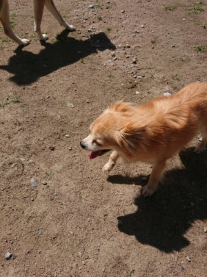 f:id:roukenhome-ann:20190613130306j:plain