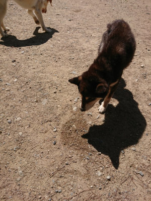 f:id:roukenhome-ann:20190613130330j:plain