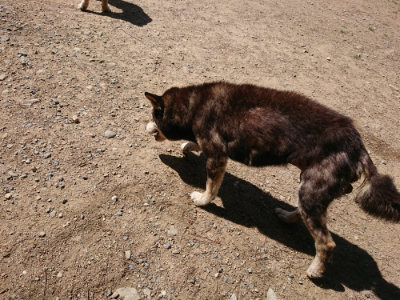 f:id:roukenhome-ann:20190613130345j:plain