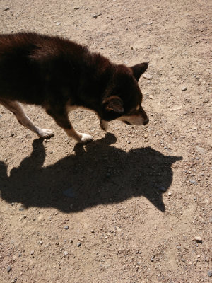 f:id:roukenhome-ann:20190613130412j:plain